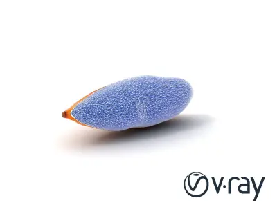 Detailed Sweet Potato Model Pack Low-poly 3D model