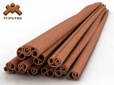 Cinnamon sticks 3D model