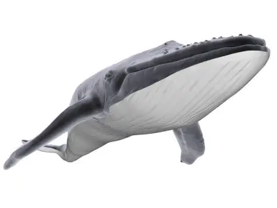 Blue Whale 3D model