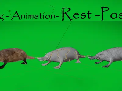 Platypus  Low-poly 3D model