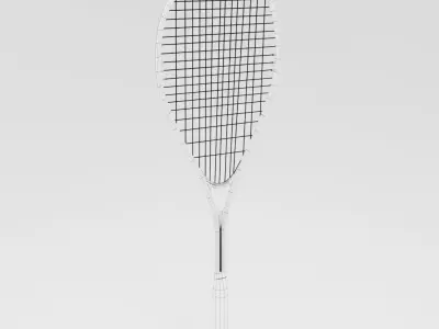 Squash Racquet 3D model