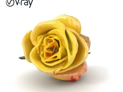 Realistic Rose Flower 3D model pack Low-poly 3D model