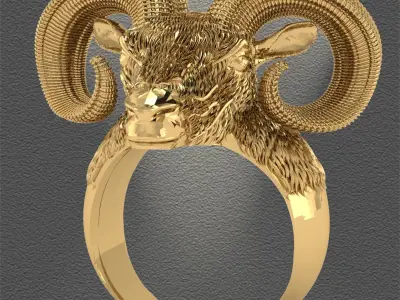 RAM Ring 3D print model