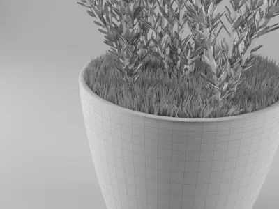 Decorative lavender 3D model