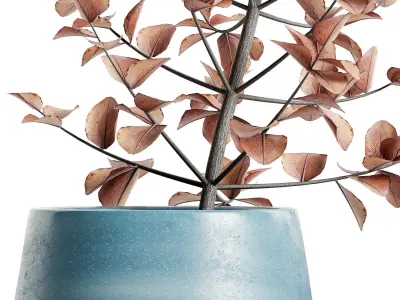 Ekua Ceramics Midnight Vase with plants 3D model