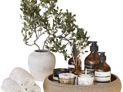 Bathroom Accessories-05 3D model