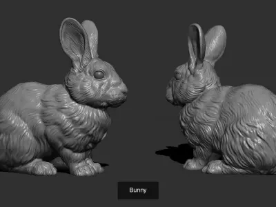 Rabbit and hare collection