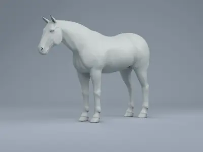 Horse mid poly zbrush 3D model