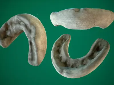 Mouthguard Low-poly 3D model