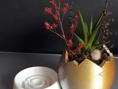 Egg Shaped Mini Planter for Succulent and Plants  3D print model
