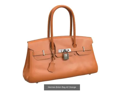 Hermes Birkin Bag 42 3D Model Pack