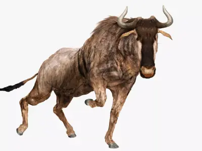 Wildebeest - with LOD and Animation Low-poly 3D model