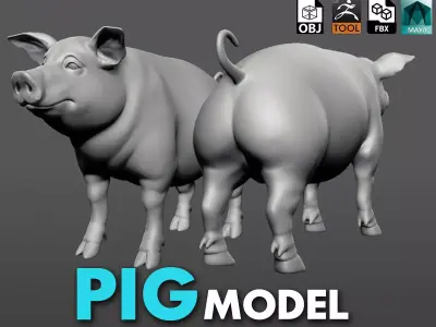  The Pig  3D model