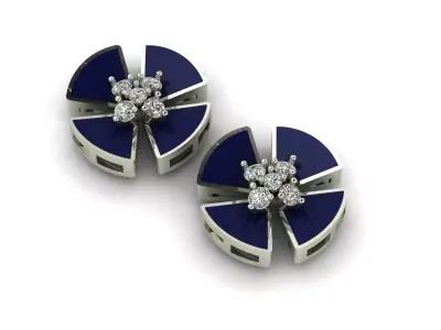 Flower model Earrings 3D print model