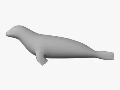 Low Poly Seal Low-poly 3D model
