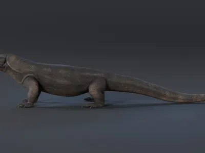 KOMODO DRAGON Low-poly 3D model