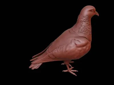 Pigeon Animal Sculpture 3D print model