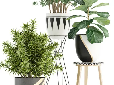 Plants collection 112 3D model