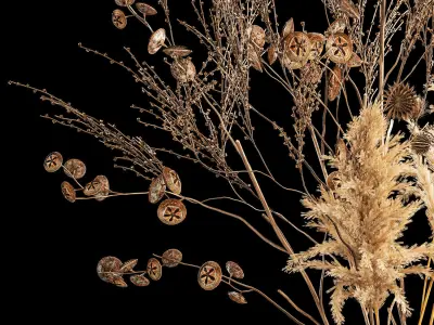 Bouquet of dried flowers with thorn and cardaderia branches 283 3D model
