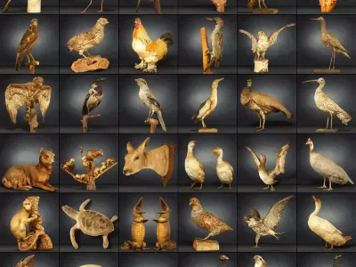 36 Animal Models Master Collection Low-poly 3D model