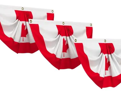Canada Flag Bunting 3D model