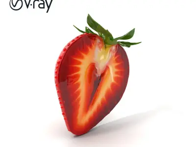 Strawberry Crosssection Realistic Detail Model Pack Low-poly 3D model