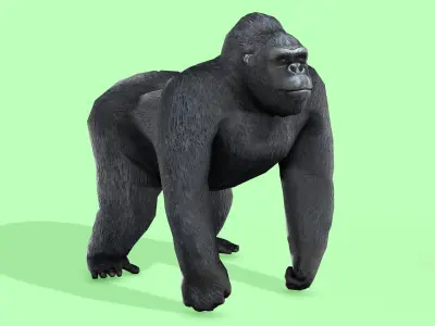 Gorilla Rigged Animated 9 Low-poly 3D model