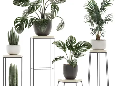 Decorative plants in pots on a stand for the interior 523 3D model