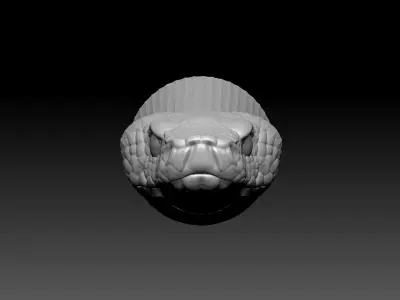 Asp Zbrush Model 3D model