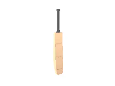 Voxel Cricket Bat v1 002 Low-poly 3D model