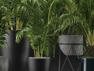 Plants Collection 18 3D model purchase