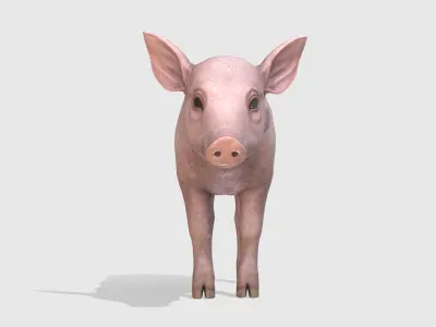 Piglet Low-poly 3D model