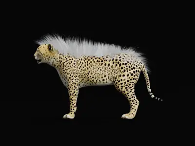 Young Cheetah Animal 3D model