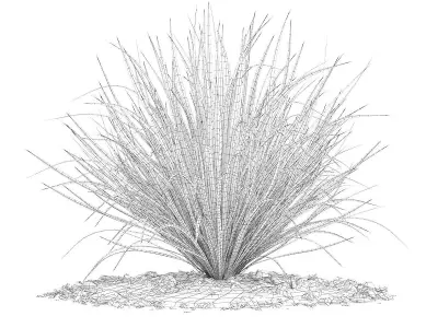 Ornamental Grass 4 3D model