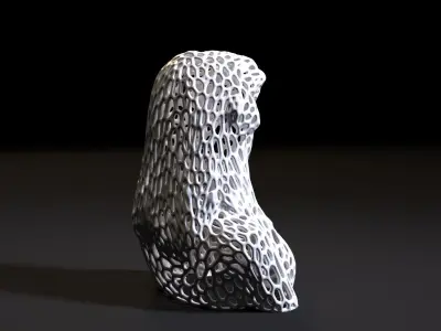 Young woman Voronoi 3D print model