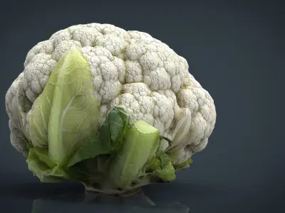 Cauliflower Low-poly 3D model