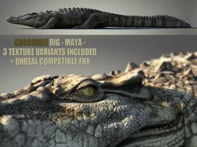 Crocodile RIG 3D model