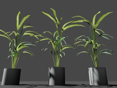 indoor pot plant  Low-poly 3D model