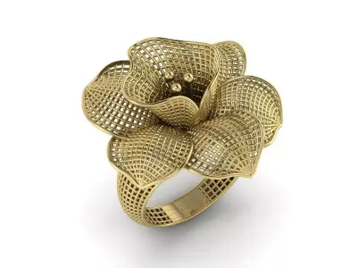 Ultra Vision Ring Jewelry 3D print model order