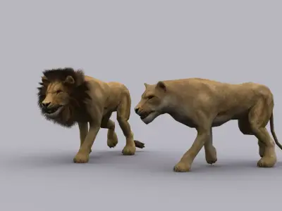 LION GAME READY ANIMATED MODEL Low-poly 3D model