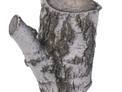 Stump with an ax 3D model