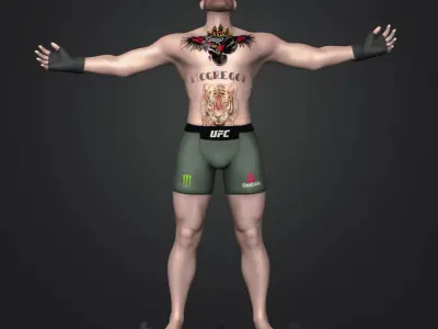 Cornor McGregor 3D Printable  3D print model