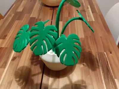 Monstera plant for 3Dprint 3D model