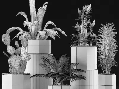 Plants Collection 26 3D model