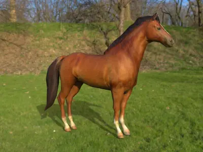 Horse game ready  Low-poly 3D model