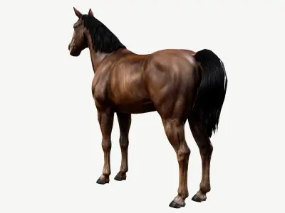 Horse Low-poly 3D model