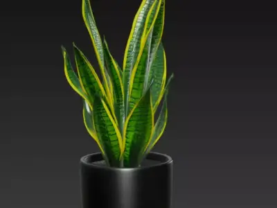 Realistic 3D Pot Plant 3D model
