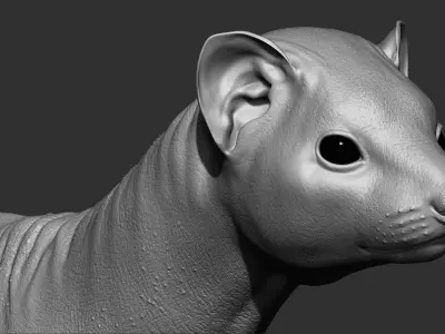 VFX Ready ferret 3d model  3D model