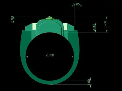 Indian Ashoka Ring 3D print model
