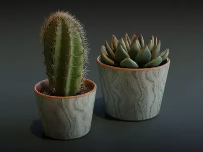 Cactus and Succulent Low-poly 3D model